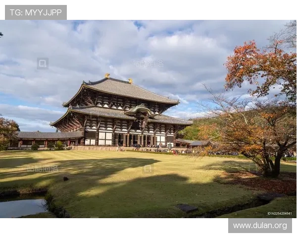 千亿像素看世界日本:通过超高像素技术实现日本文化遗产的数字化保护与传承 千亿像素看世界日本:通过超高像素技术实现日本文化遗产的数字化保护与传承