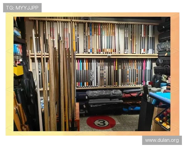 斯诺克球友之家：全面的设备评测与购买指南帮助你选择最适合的球杆和配件