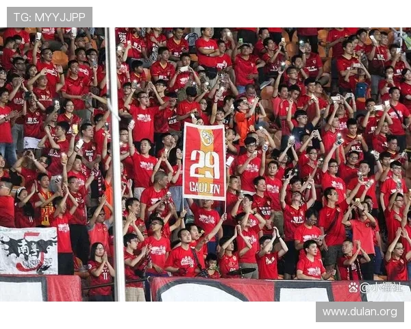 球友会看球：多语种支持，满足不同地区用户的多样化观看需求